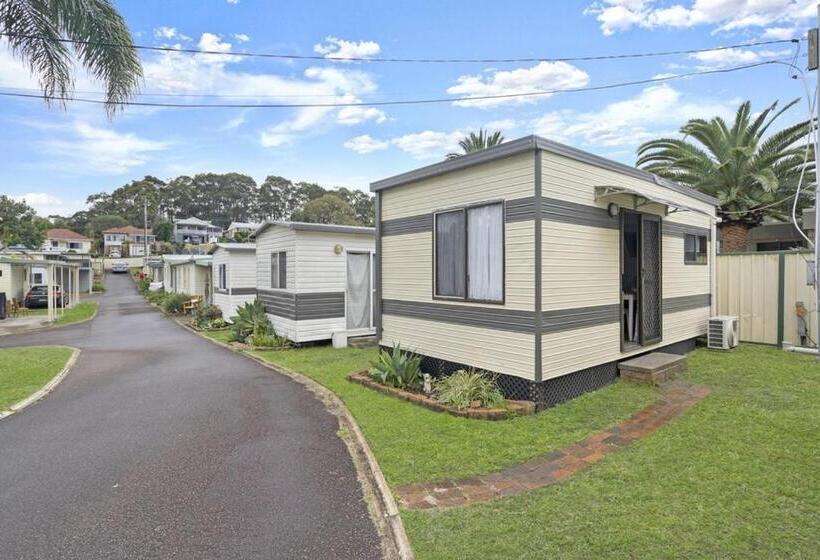 هتل Paradise Palms Caravan Park