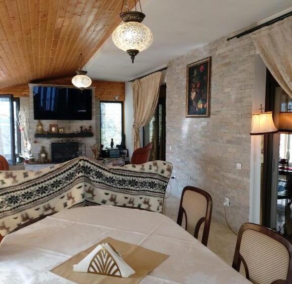 بنسيون Conacul Voievozilor