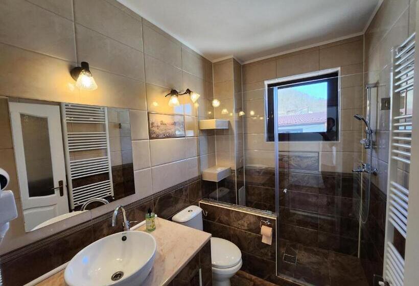 بنسيون Conacul Voievozilor