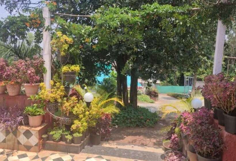 فندق Strawberry County