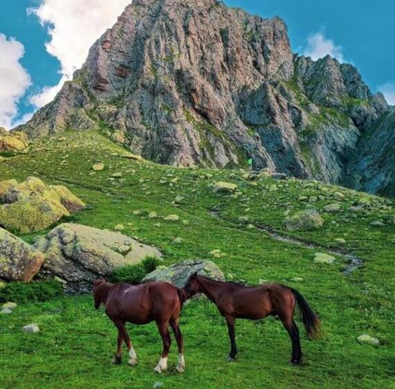 پانسیون Maskuri