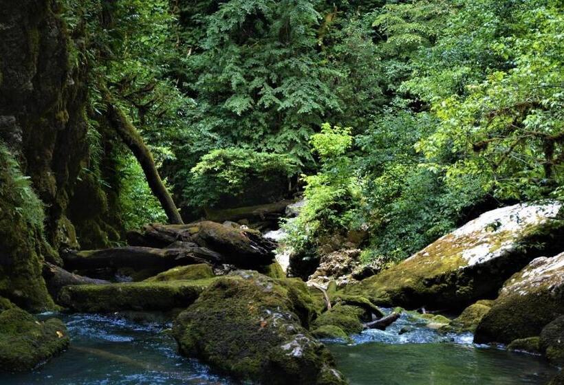 پانسیون Maskuri