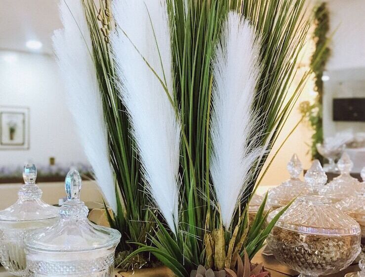 בית מלון כפרי Viana