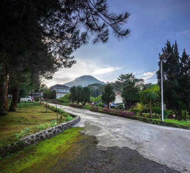 Tambi Tea Resort