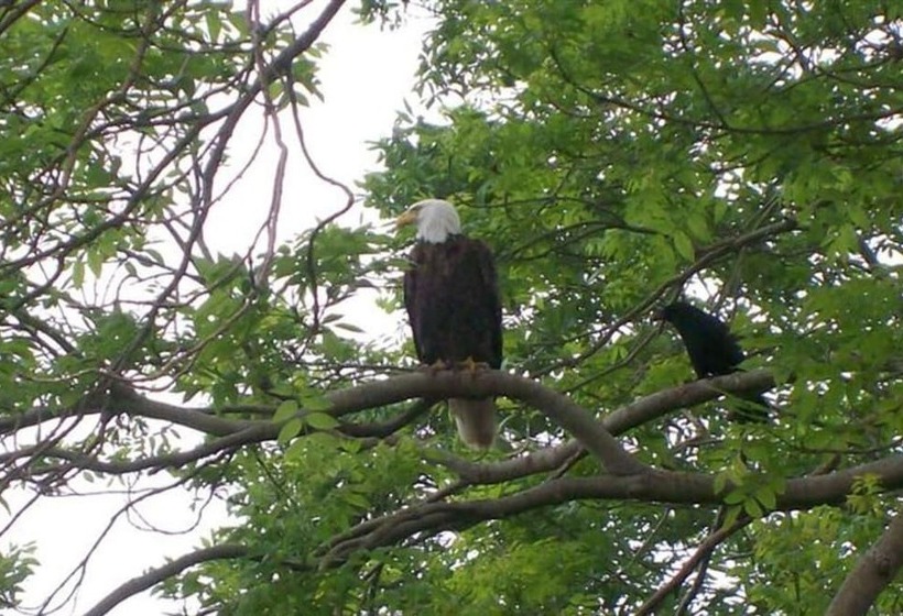 A Boat To Sea Bed & Breakfast