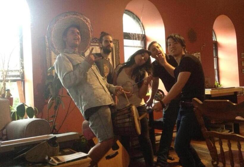 Общежитие Auberge Alternative