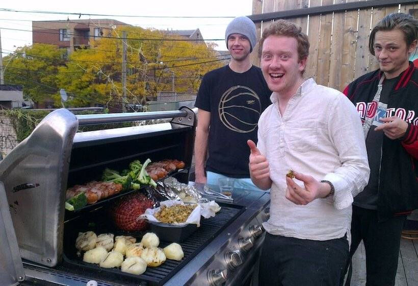 فندق صغير The Only Backpacker S Inn