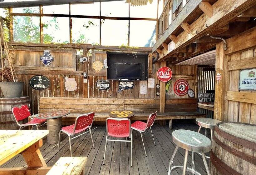 هاستل The Only Backpacker S Inn