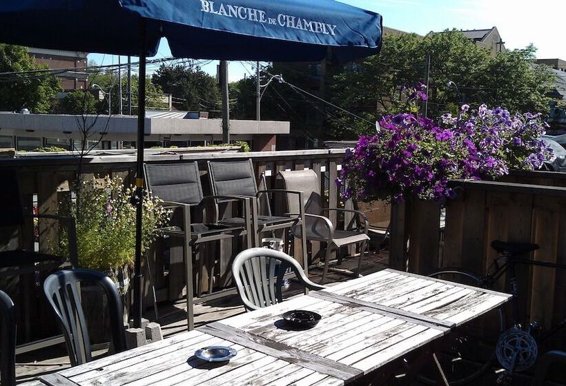 هاستل The Only Backpacker S Inn