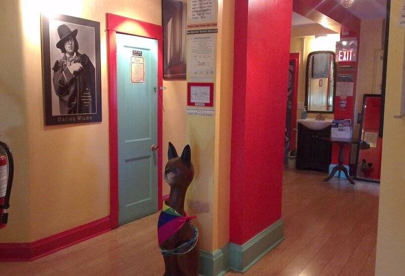 فندق صغير The Only Backpacker S Inn