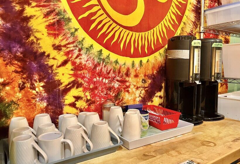 هاستل The Only Backpacker S Inn