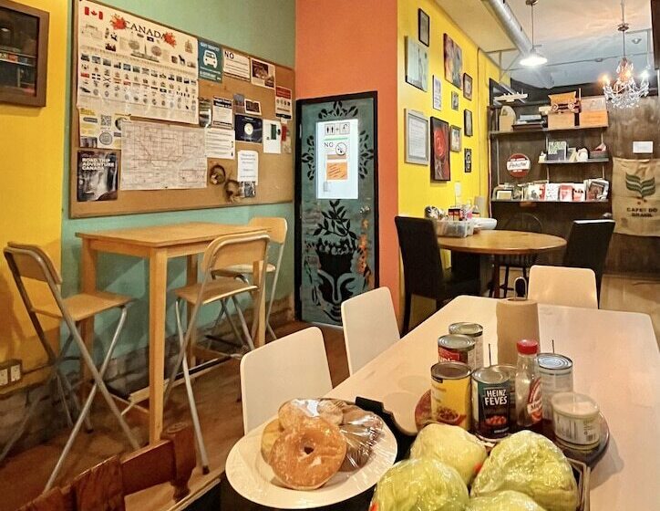 هاستل The Only Backpacker S Inn