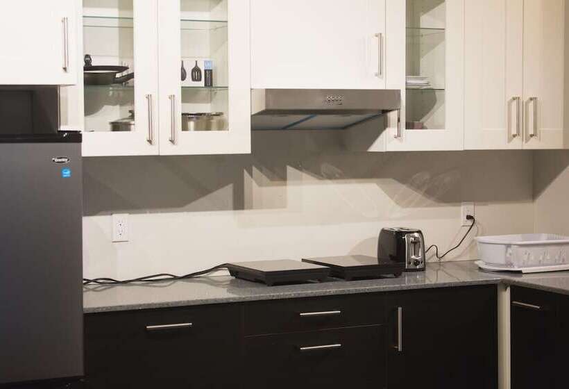 فندق صغير The Only Backpacker S Inn