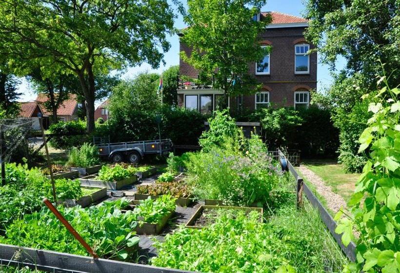 B&b De Postoari Terschelling
