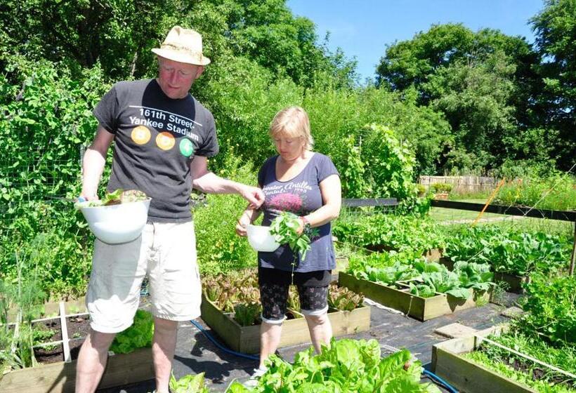 B&b De Postoari Terschelling