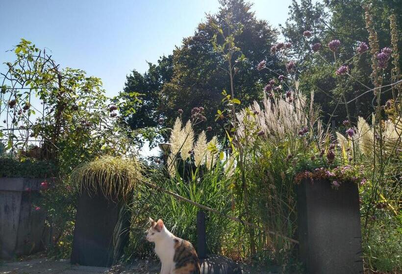 B&b Hotel De Joremeinshoeve