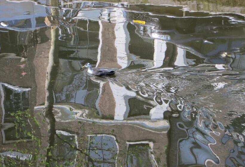 مبيت وإفطار Casa Luna