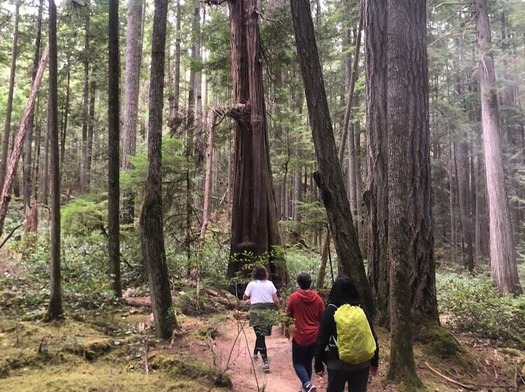 צימר Davis Brook Retreat