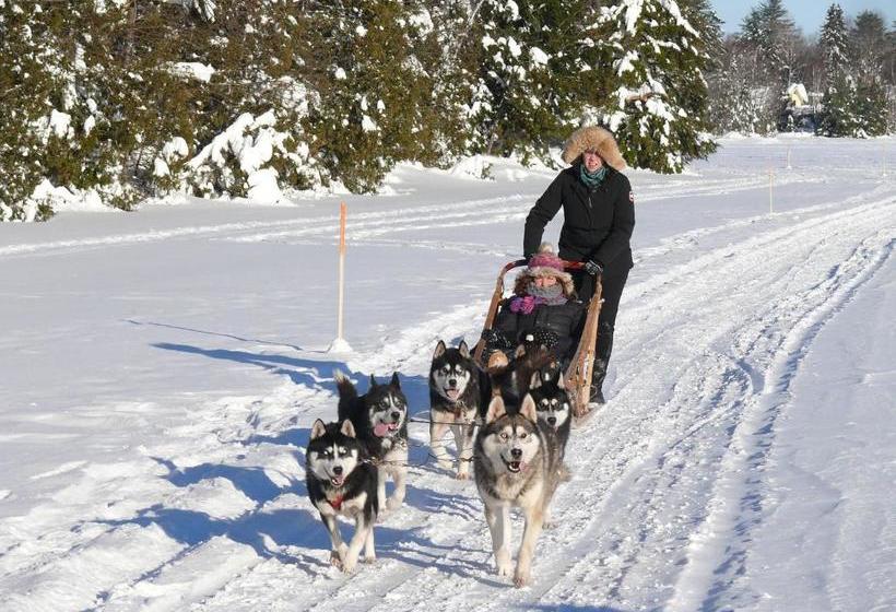 ベッドアンドブレックファースト Gite Nature Et Confiture