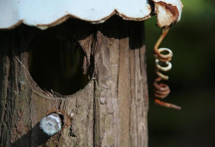 ベッドアンドブレックファースト Gite Nature Et Confiture