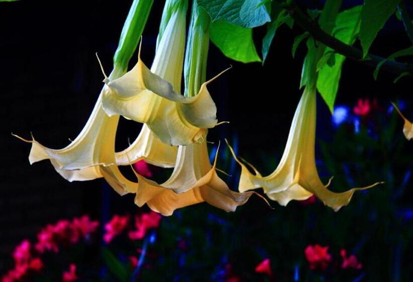 민박 Gîte Chez Baza