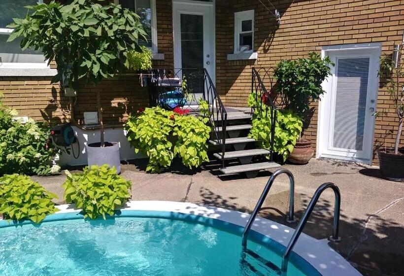 Bed and Breakfast Gîte Chez Baza