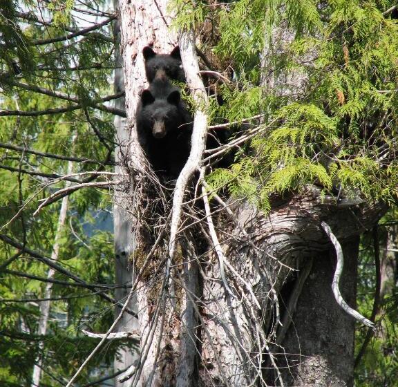 Bed and Breakfast Liahona Guest House