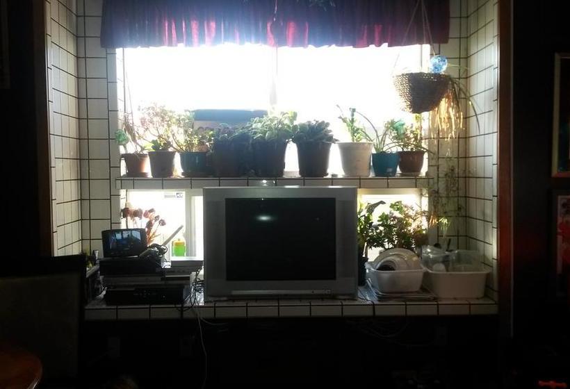 مبيت وإفطار Nisku Guest House