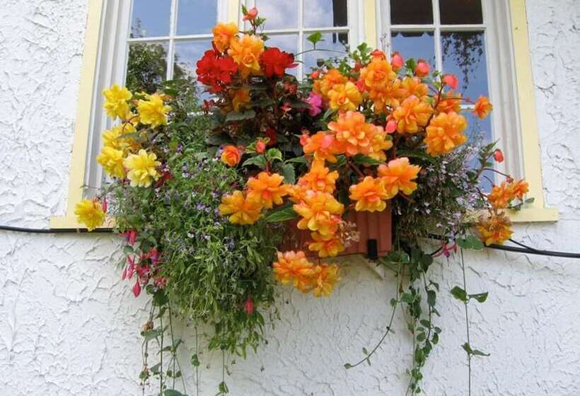 مبيت وإفطار Northland Lodge