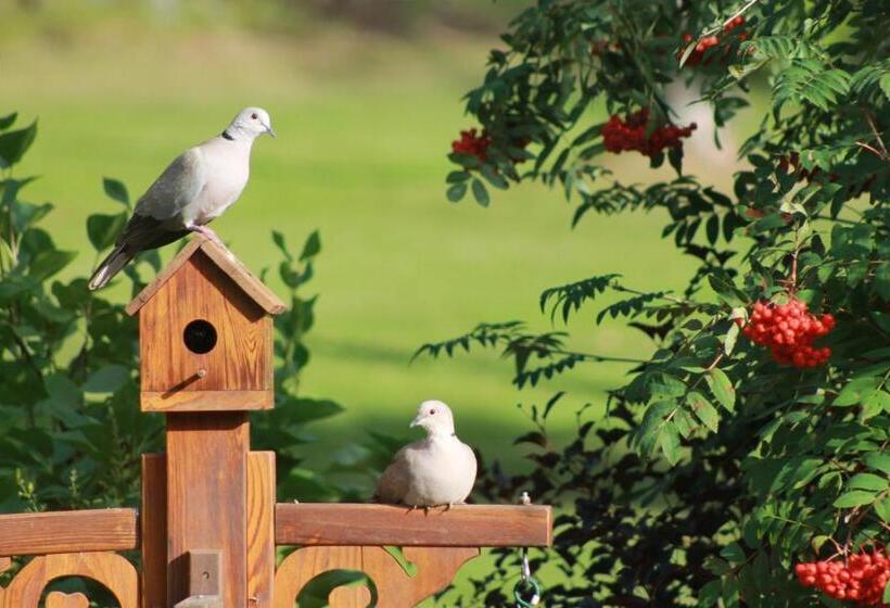 تختخواب و صبحانه Remo Ridge Bed N Breakfast