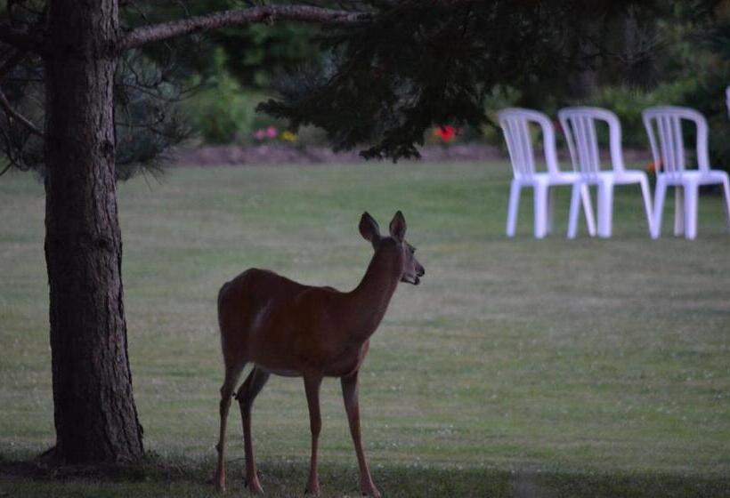 Briarwood Bed & Breakfast