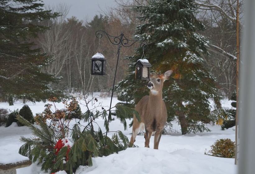 Briarwood Bed & Breakfast