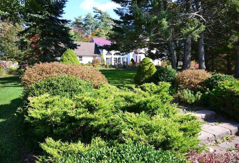 Briarwood Bed & Breakfast