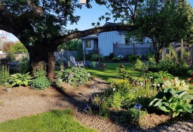 Campbell Cottage B&b