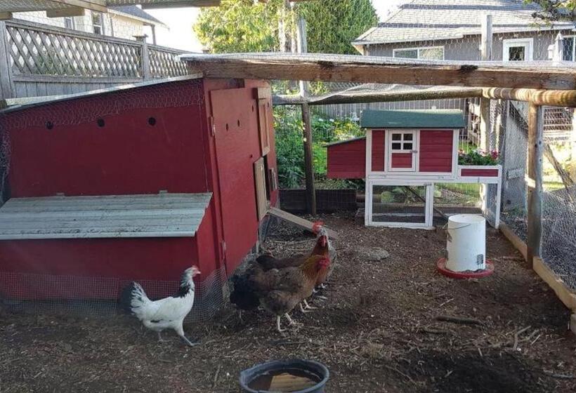 Campbell Cottage B&b