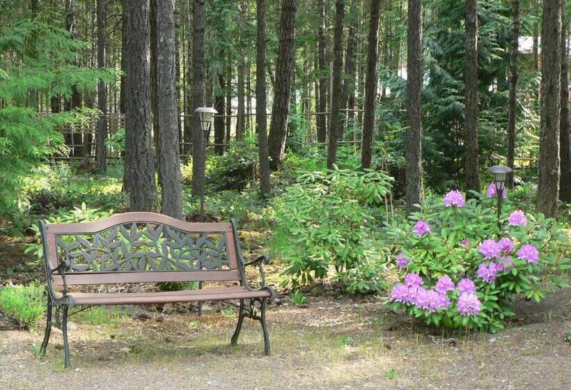 Cedar Song B&b