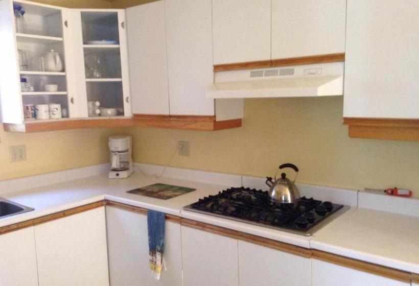 Chalet Au Bord De L Eau Le Nymphéa