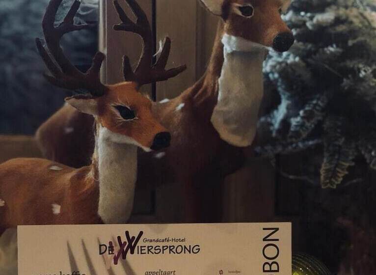 Grandcafe Hotel De Viersprong