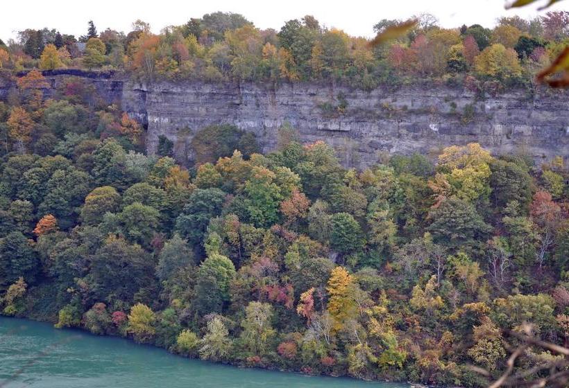 Greystone Manor Bed And Breakfast