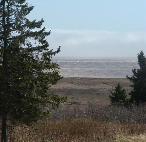 Hopewell Rocks Motel & Country Inn