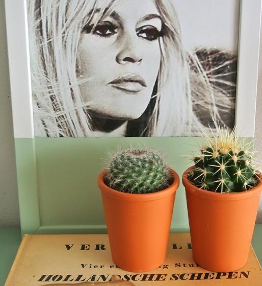 호텔 B&b Altijd Wad