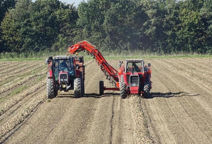 בית מלון כפרי Café Restaurant De Kroon