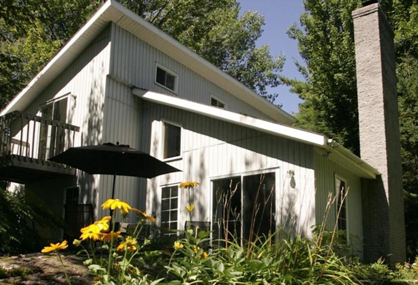 Chalet Au Bord De L Eau Le Nymphéa
