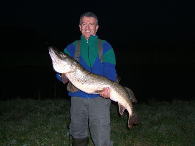 酒店 De Halve Maan