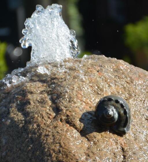 ホテル De Rozenstruik