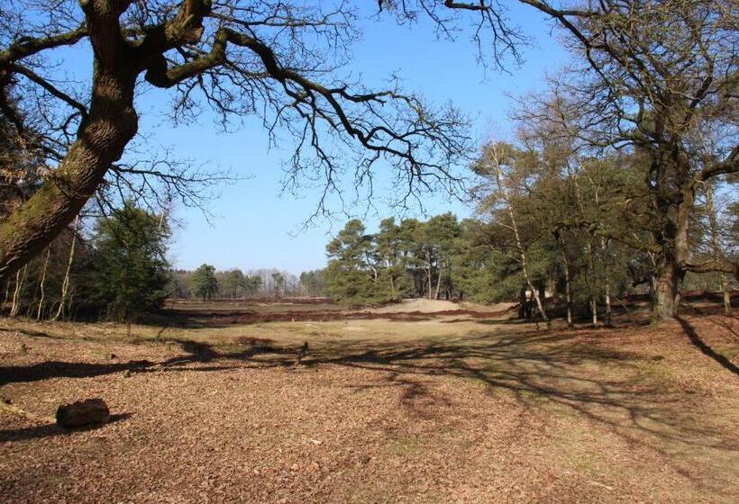 בית מלון כפרי De Wapser Herberg