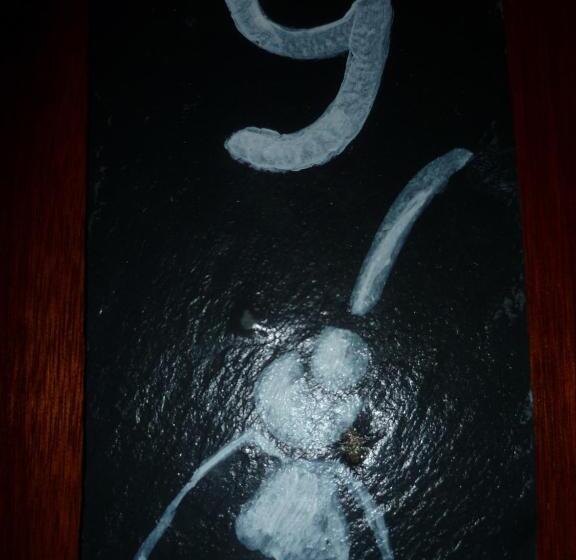 בית מלון כפרי Du Port