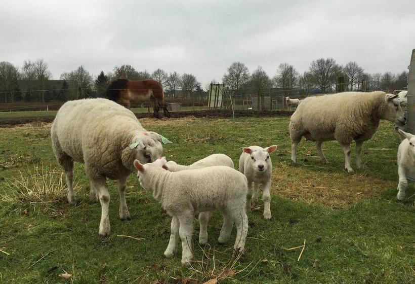 בית מלון כפרי Grotenend