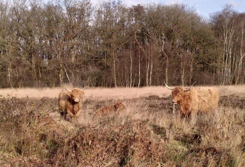 Отель Herberg De Eexter Os