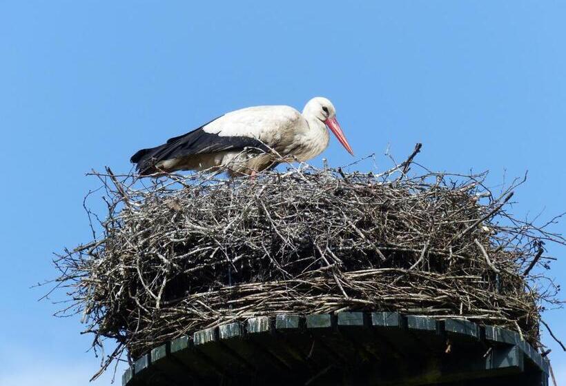 Отель Herberg De Eexter Os